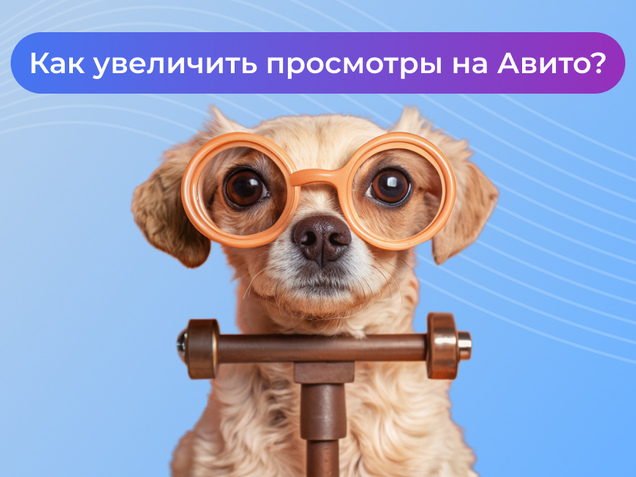 Как увеличить просмотры на Авито?